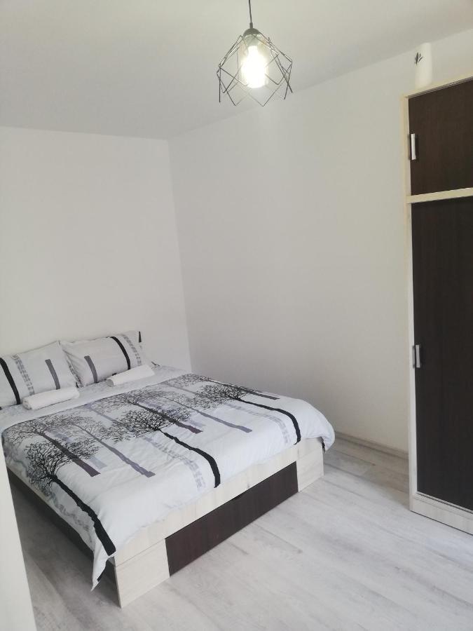 Apartament Brezoi Apartment Exterior foto