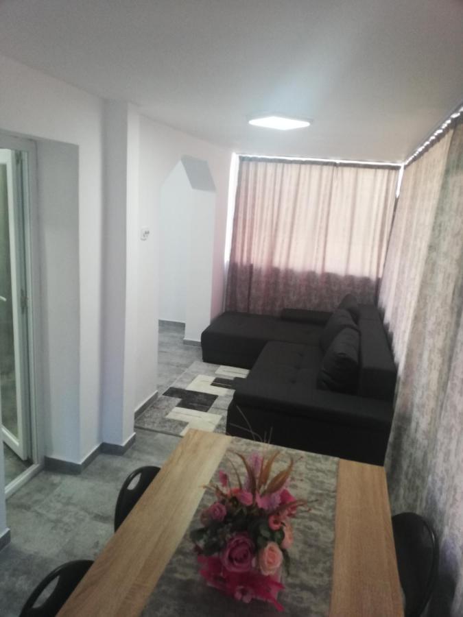 Apartament Brezoi Apartment Exterior foto