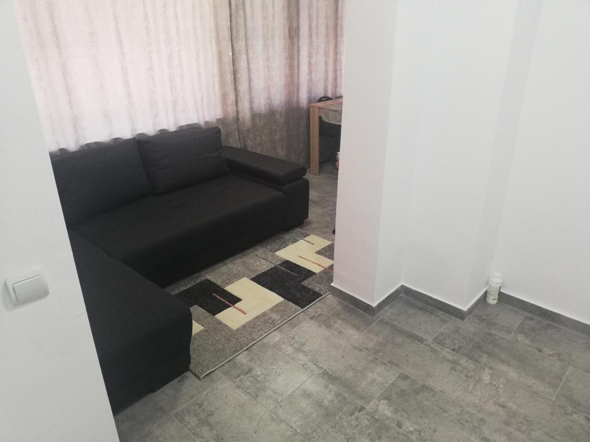 Apartament Brezoi Apartment Exterior foto