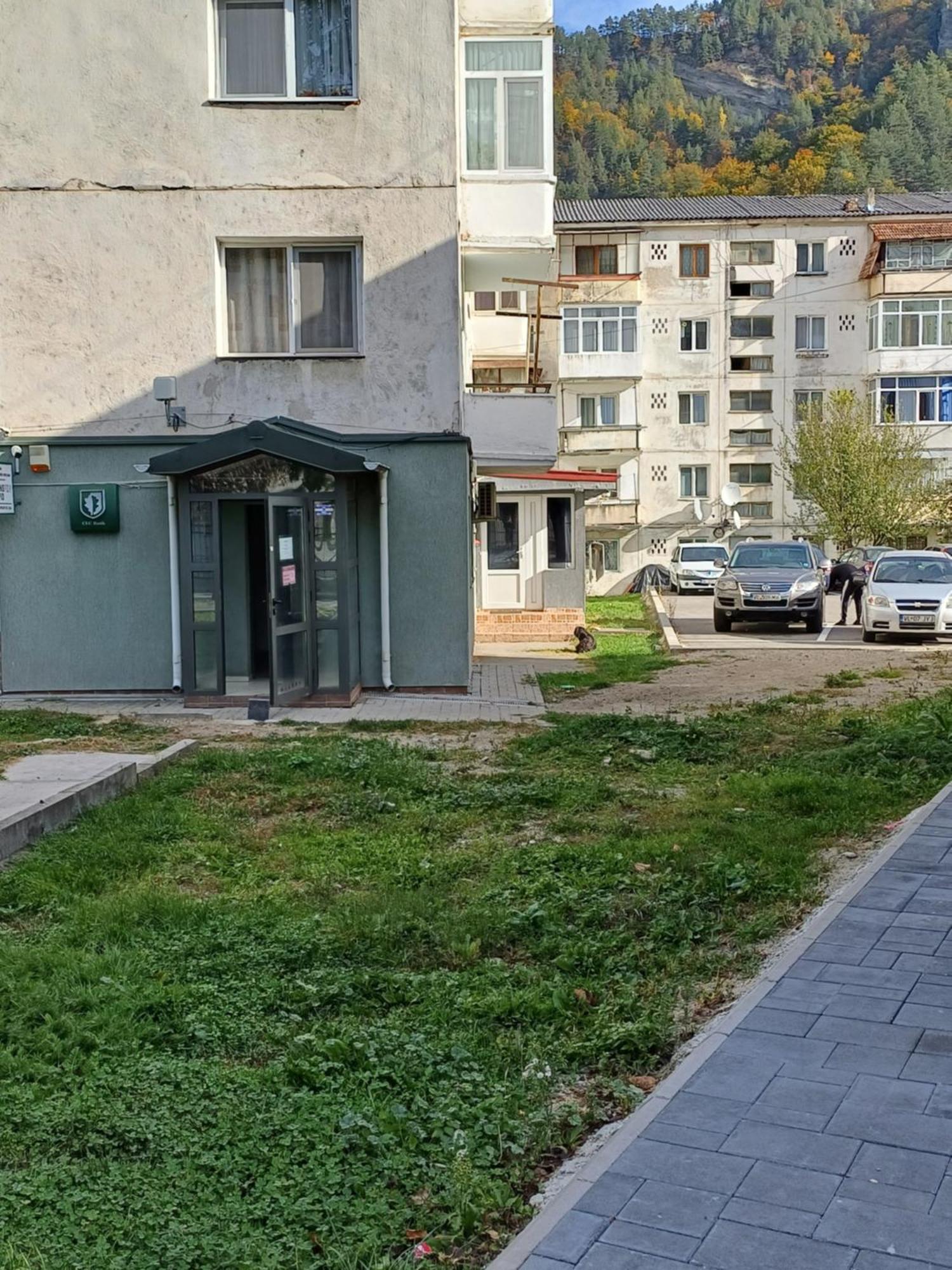Apartament Brezoi Apartment Exterior foto